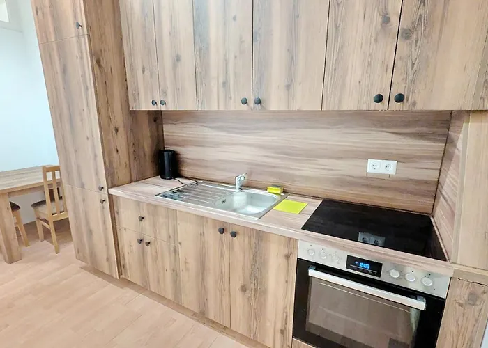 Spacious - 15 Min From Airport & Center, 5 Min From Main-bus Station Ez8 Viena